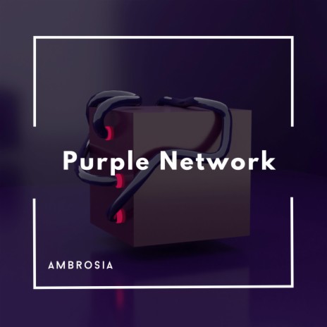 Purple Network | Boomplay Music