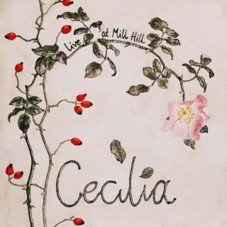 Cecilia (Live at Mill Hill)