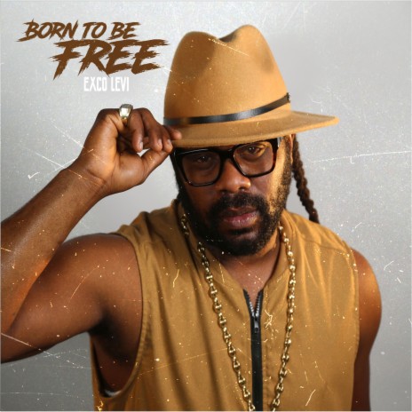 Born to Be Free | Boomplay Music