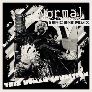 Normal (Sonic DnB Remix) ft. Jamie Jamal lyrics | Boomplay Music