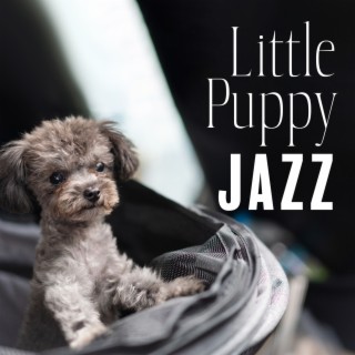 Little Puppy Jazz