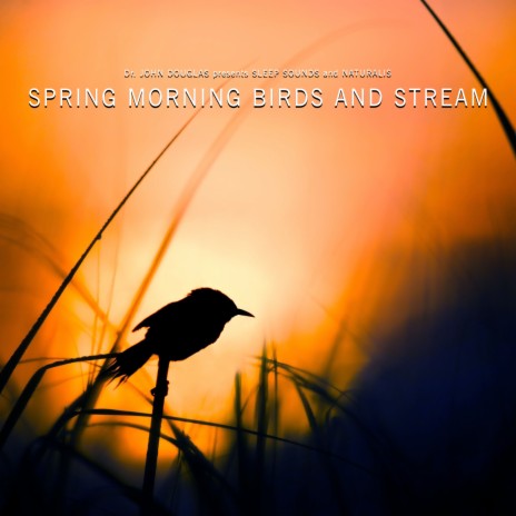 Calm Meditation Nature Noise of Birds and Creek ft. Naturalis & Sleep Sounds | Boomplay Music