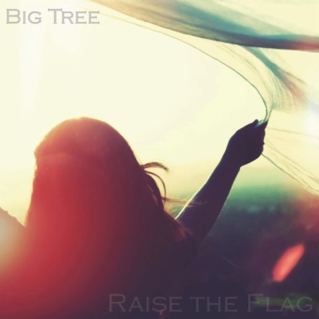 Raise the Flag | Boomplay Music