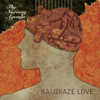 Kamikaze Love