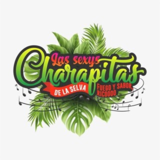 Las Sexys Charapitas de la Selva