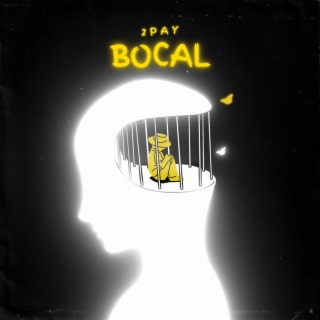 Bocal lyrics | Boomplay Music