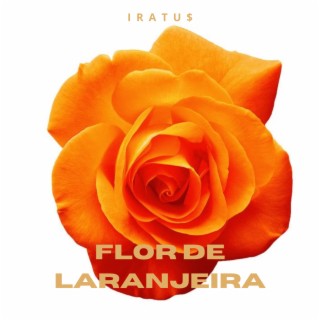 Flor de Laranjeira