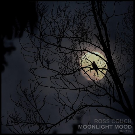Moonlight Mood | Boomplay Music