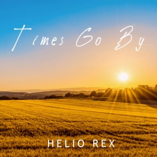 Times Go By lyrics | Boomplay Music