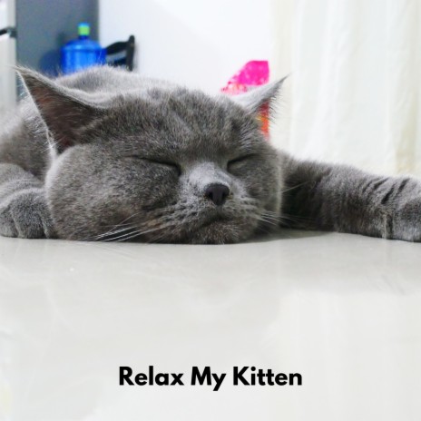 Soothing Cats ft. Music For Cats & Relax My Cat | Boomplay Music