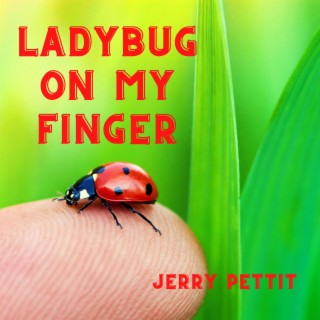 Ladybug On My Finger