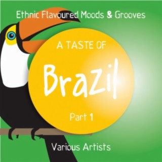 A Taste of Brazil, Pt. 1 (Ethnic Flavoured Moods & Grooves)