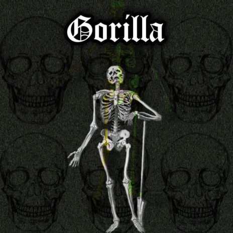 Gorilla | Boomplay Music