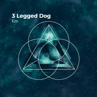 3 Legged Dog
