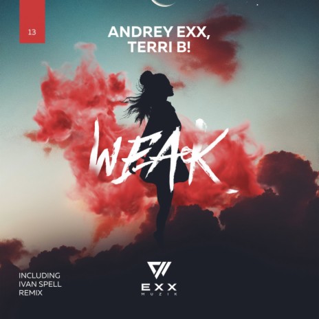 Weak (Ivan Spell Remix) ft. Terri B!