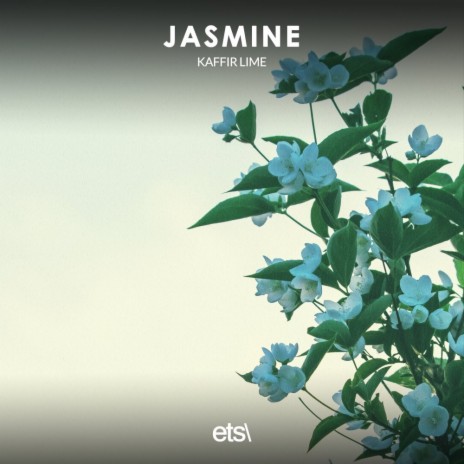 Jasmine (8D Audio)