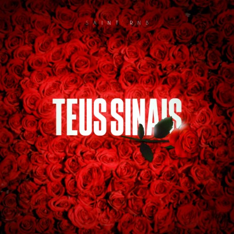 Teus Sinais ft. Willnobeatt | Boomplay Music