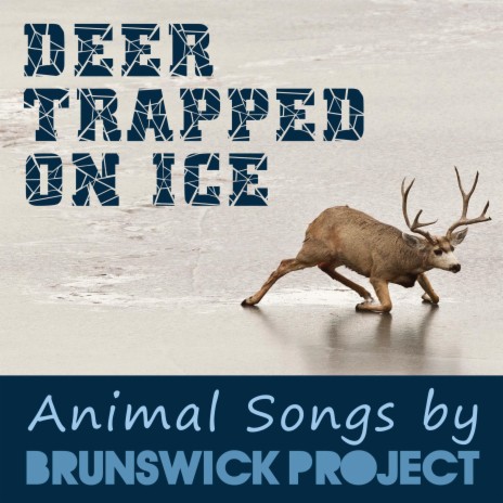 Deer Trapped on Ice