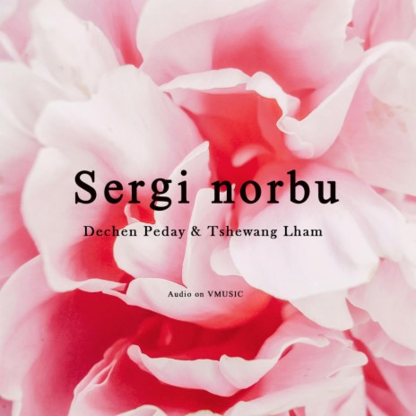 Sergi norbu | Boomplay Music