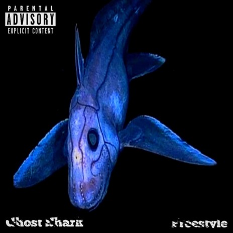 Ghost Shark Freestyle | Boomplay Music