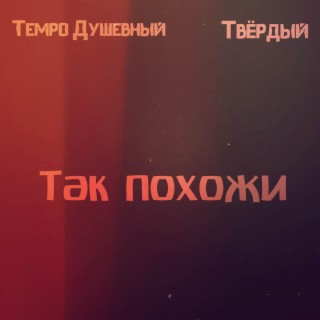 Так похожи