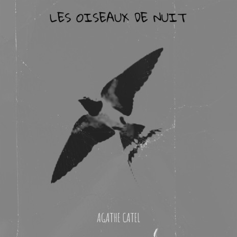 Les oiseaux de nuit | Boomplay Music