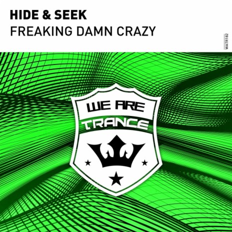 Freaking Damn Crazy (Extended Mix) | Boomplay Music