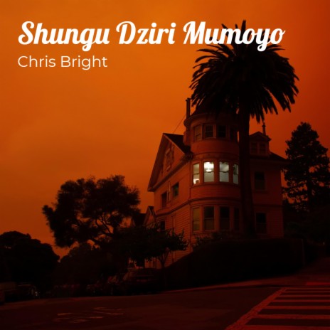Shungu Dziri Mumoyo | Boomplay Music