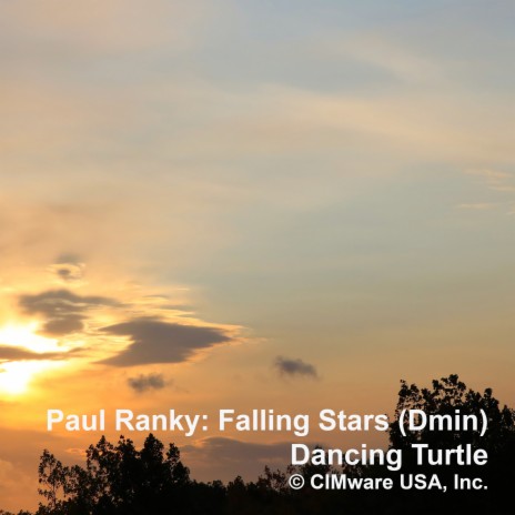 Falling Stars Dmin ft. Paul Ranky | Boomplay Music