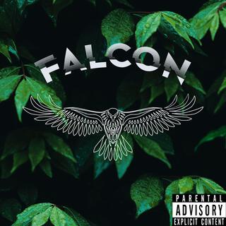 Falcon lyrics | Boomplay Music