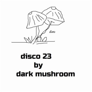 disco 23