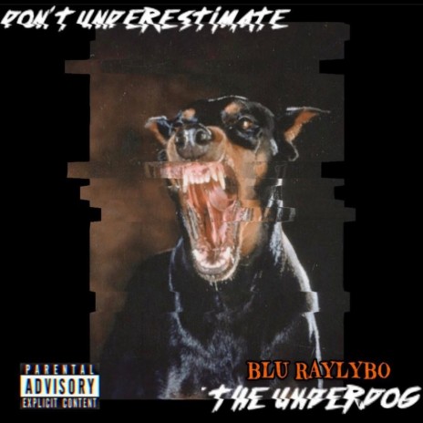 UnderRated UnderDog | Boomplay Music