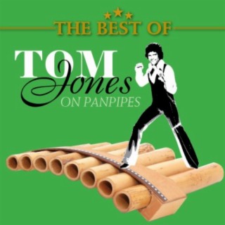 The Best of Tom Jones on Panpipes