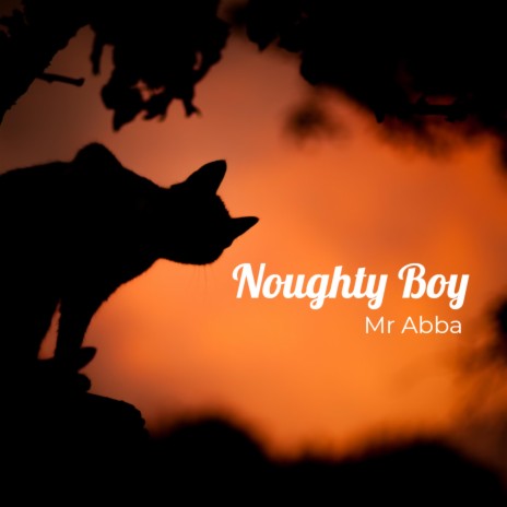Noughty Boy | Boomplay Music