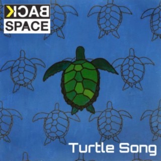 Turtle Song