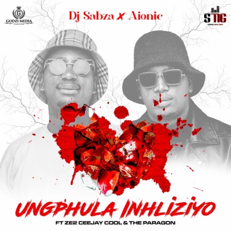 Ungphula Inhliziyo ft. Aionic, ZE2, Ceejay Cool & The Paragon | Boomplay Music