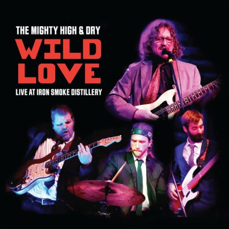 Wild Love (Live at Iron Smoke Distillery) | Boomplay Music