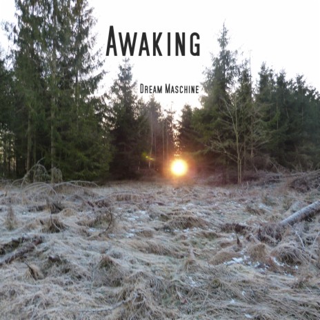 Awaking | Boomplay Music