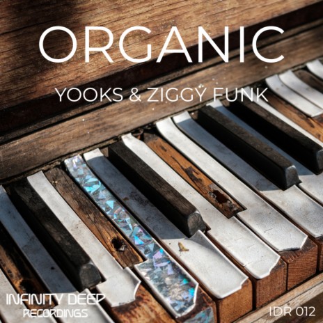 Organic ft. Ziggy Funk | Boomplay Music