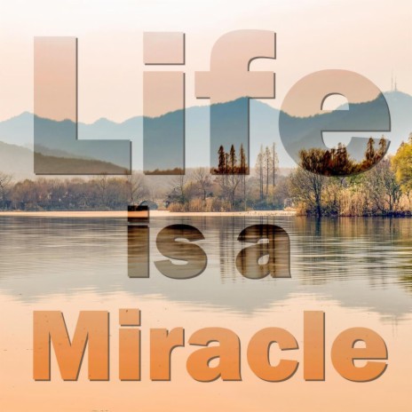 Life Is A Miracle