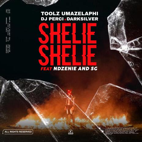 Shellie Shellie ft. Toolz Umazelaphi, DarkSilver, Ndzenie & SG | Boomplay Music