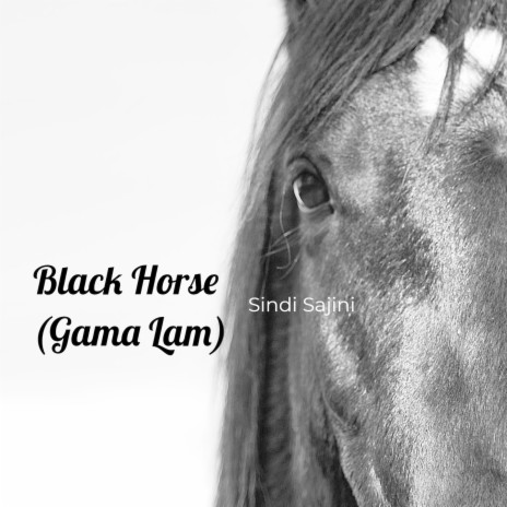 Black Horse (Gama Lam) | Boomplay Music