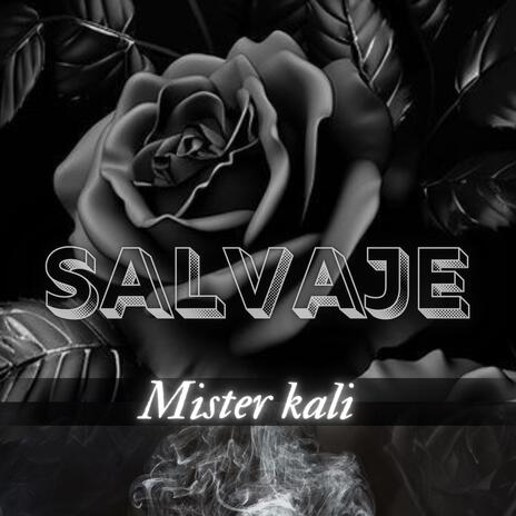 Salvaje | Boomplay Music