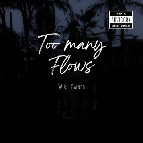 Too Many Flows | Boomplay Music