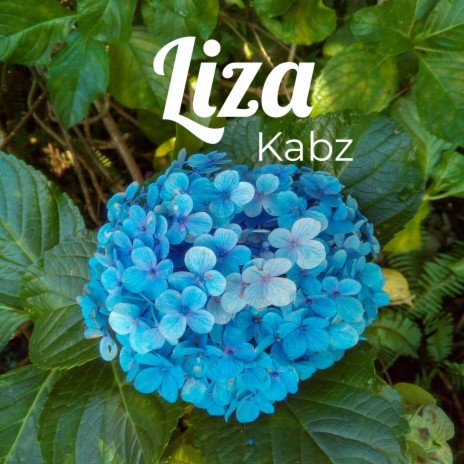 Liza | Boomplay Music