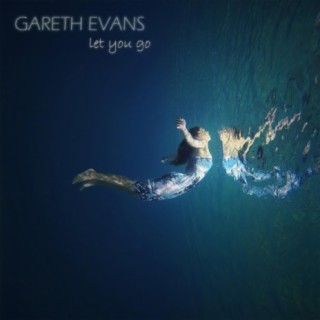 Gareth Evans