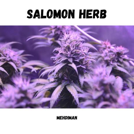 Salomon Herb | Boomplay Music