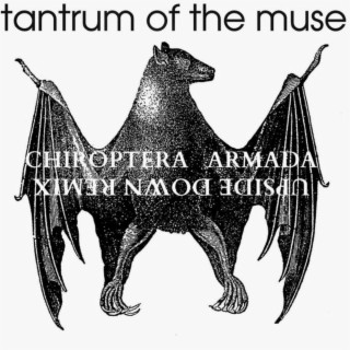 Chiroptera Armada (Upside Down Remix)