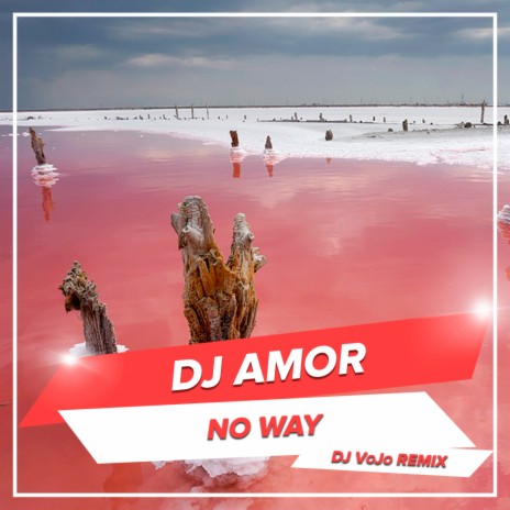 No Way (DJ VoJo Radio Edit) | Boomplay Music