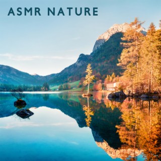 ASMR Nature: Quick Stress Release with Relaxing Nature Ambience Meditation